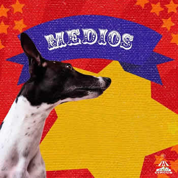 Banho e Tosa de Cães e Gatos na Pet Circus