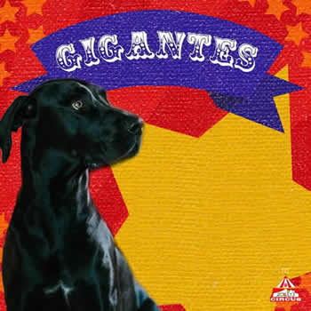 Banho e Tosa de Cães e Gatos na Pet Circus