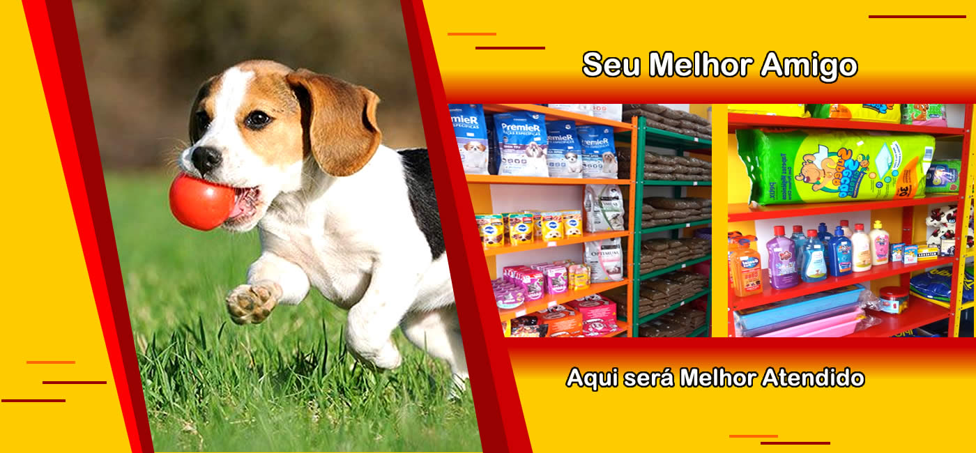 Manutenção de Equipamentos Fitness em Sao Paulo - sp